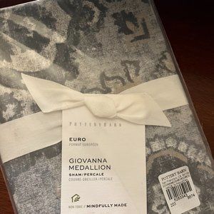 NEW Pottery Barn Giovanna Medallion Two EURO Shams